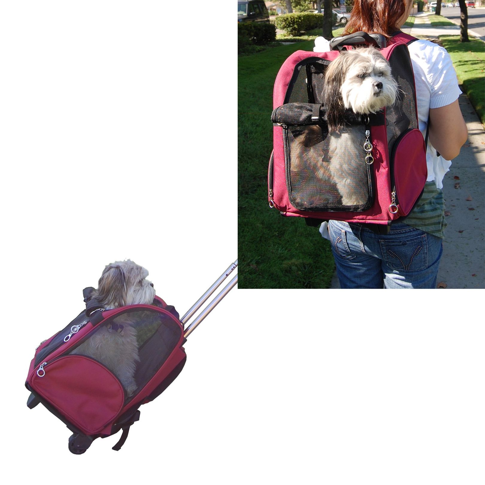 Designer Pet Dog Carrier Bag On Wheels Burgundy Pet Carrier On Wheels