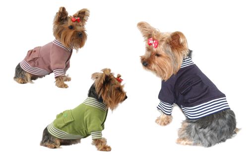 Classic dog tshirt/jacket