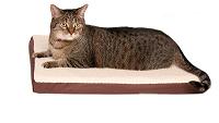 Cat in a fleece crate bed