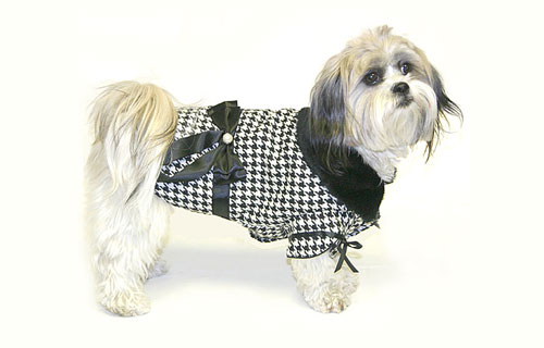 Dog Winter Coat (Fur neck) - black