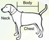 Dog dress measurements