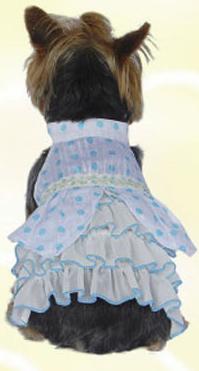 Blue polka dots dog dress