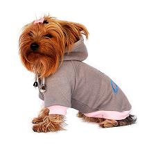 Dog pullover sweat shirt