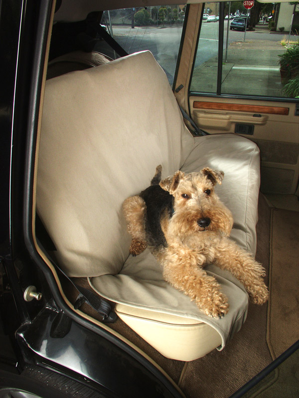 Car back seat cover 