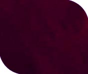 Dog Blanket Plum packcloth