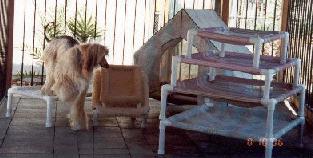Dog tent and dog lounge beds