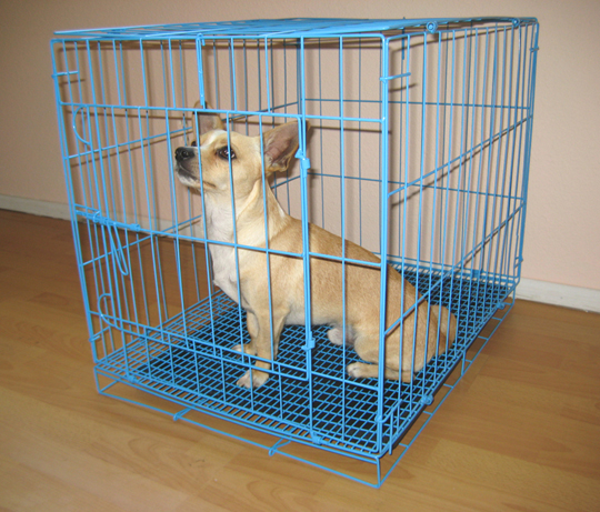 Blue Wire Dog Cage/Crate