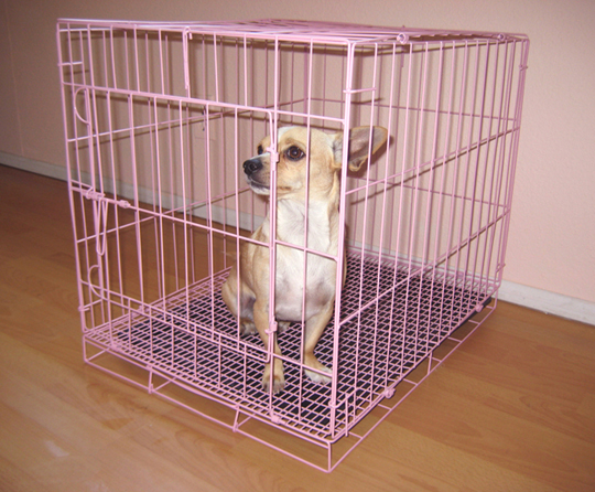 Pink Wire Dog Cage/Crate
