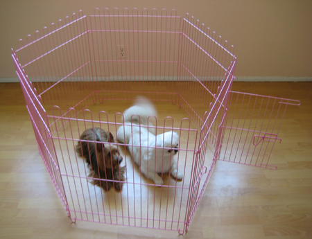 Pink exercise dog pen