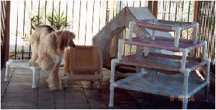 Dog lounge bed and dog tent bed